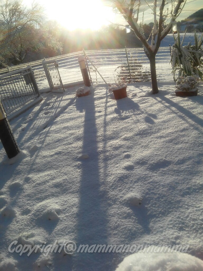 Neve in giardino